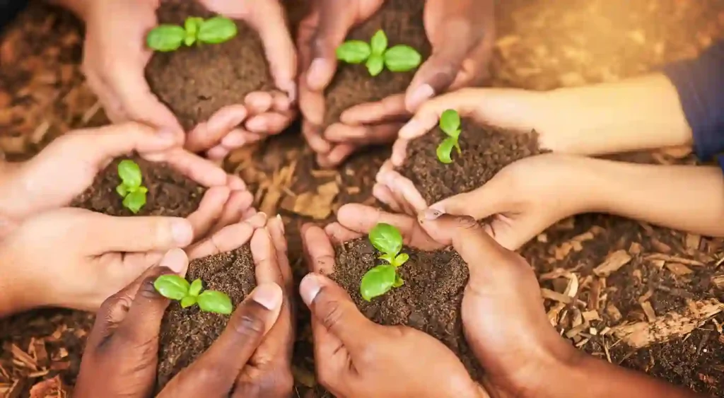 Sustainable Development